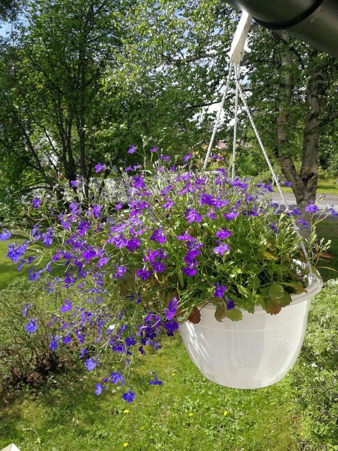 25 Kvadrat 25 Minuter Från åre Semesterbostad *