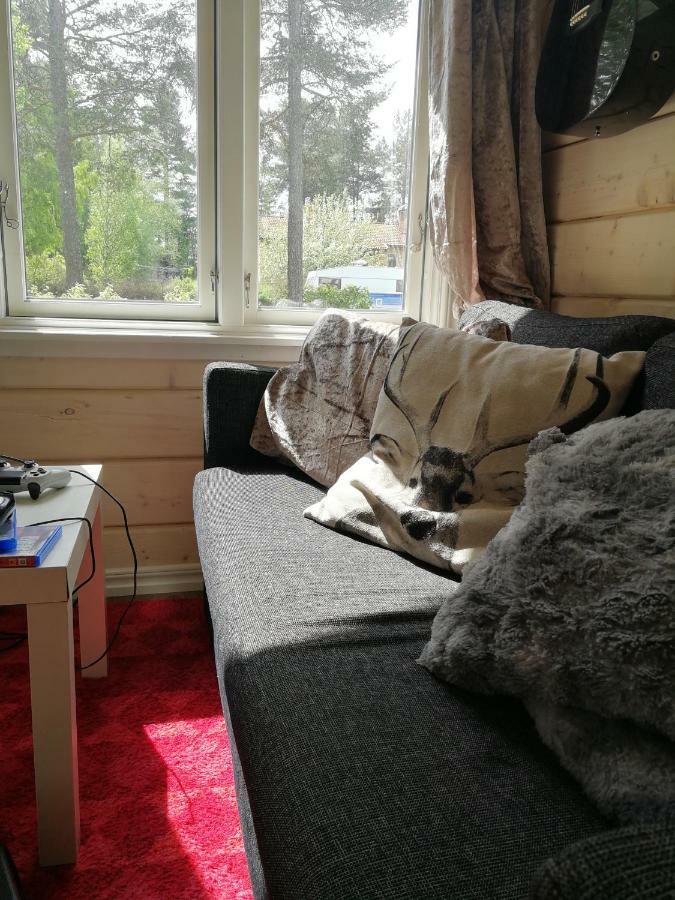 25 Kvadrat 25 Minuter Från åre Jarpen